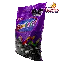 pingüinos RCO0351_2.webp