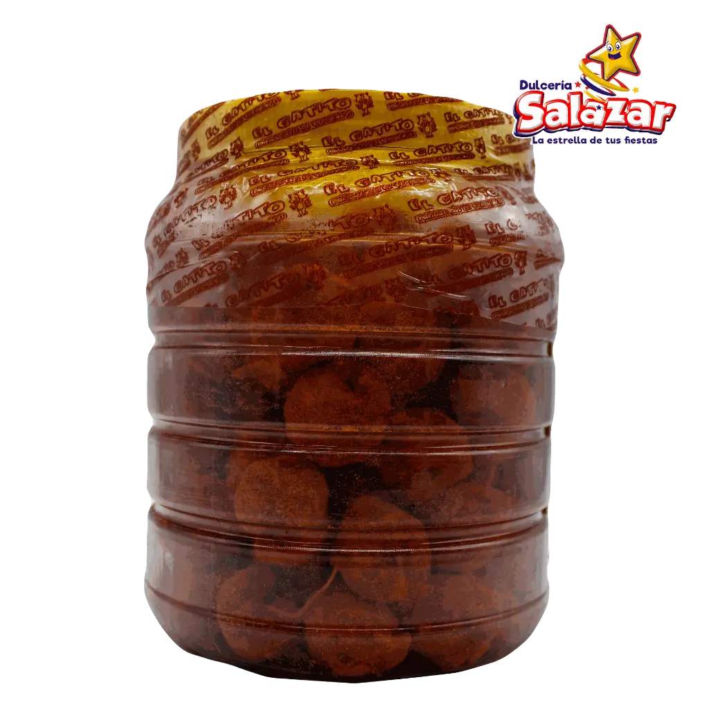 gatito tarugo chico chile GAT0007_2.webp