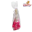 PALETA ESTRELLA COLORES LEOS LEOS0004_3.webp