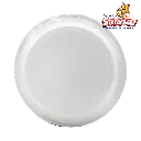 PLATO CARTON IGUANA AZUL  DAMEX0029_2.webp