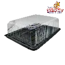 DOMO PPASTEL 1 4 WOW0010_2.webp