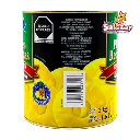 Piña rebanadas astra INT0022_3.webp