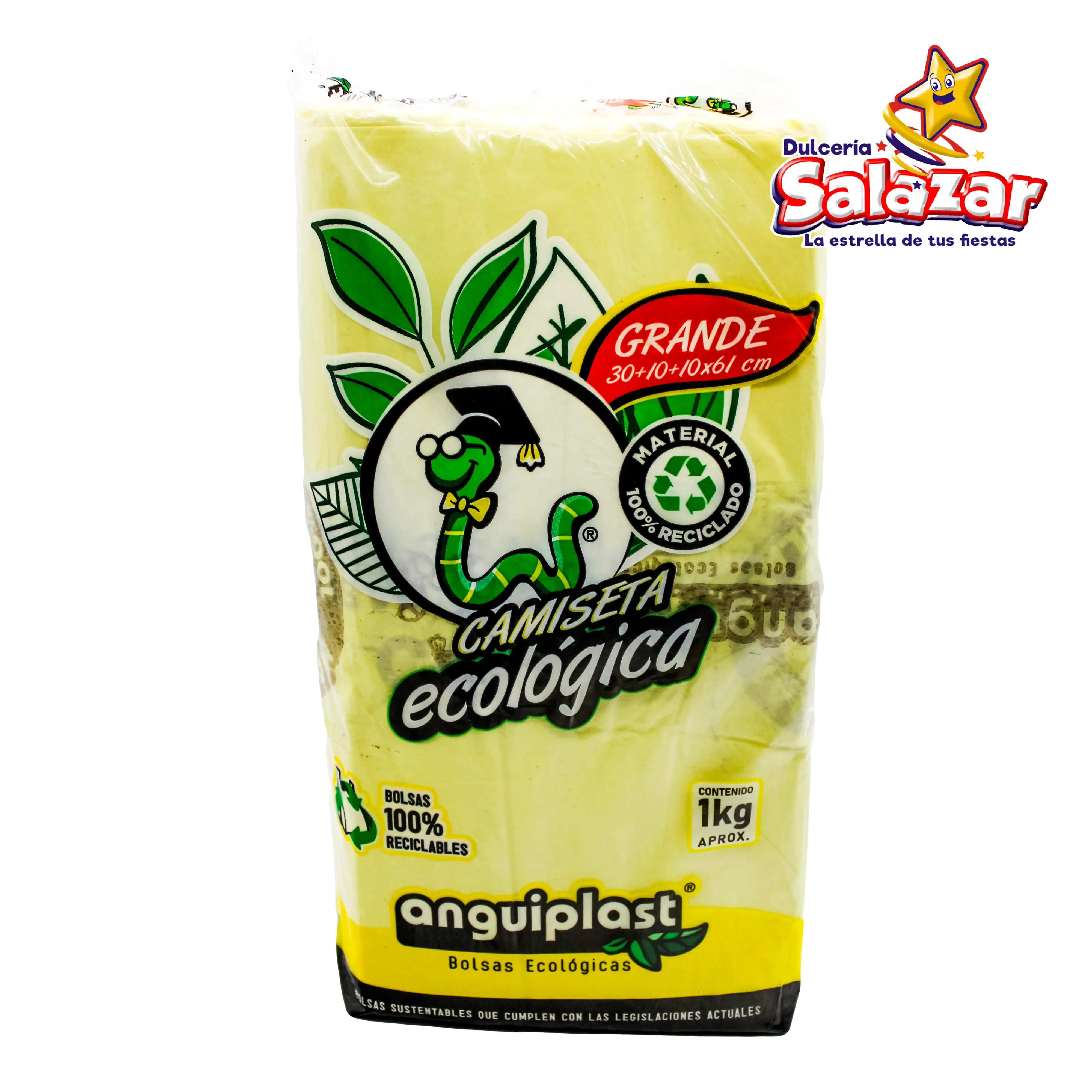 BOLSA ASA POLIPAPEL COLOR GRANDE ANGUIPLAST "B/25/1"