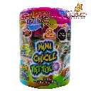 CHICLE TATTOO MINI DELICIAS -V.450G- "C/24/150"