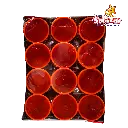 PIKO OLLITA SUPER -D.468GR - "C/24/36"