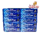 WINTERFRESH  WRIGLEYS T/A -D.250G- "C/40/20"