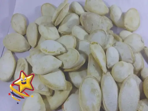 [JOR0006] SEMILLA RUSA JORGE -B.1KG- "C/10/1"